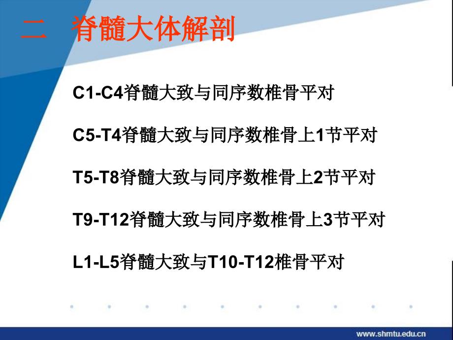 脊髓损伤的神经系统查体PPT参考幻灯片_第3页