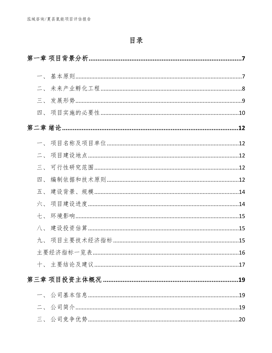 夏县氢能项目评估报告_第1页