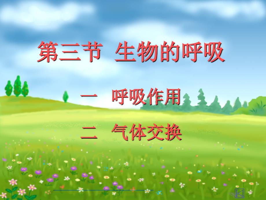 第三节生物的呼吸名师编辑PPT课件_第1页