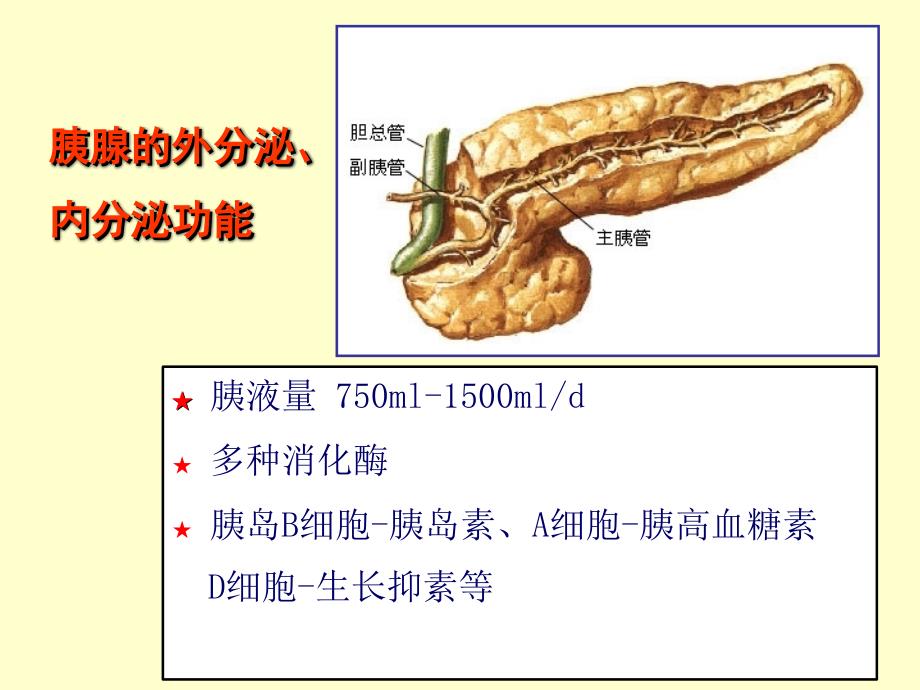 精品胰腺肿瘤病变的影像学诊断ppt_第3页