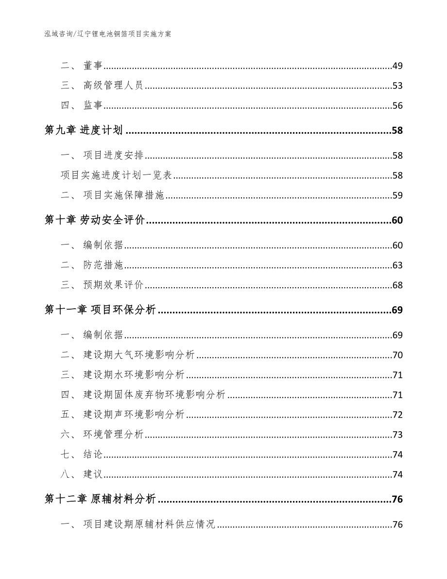 辽宁锂电池铜箔项目实施方案（范文模板）_第3页