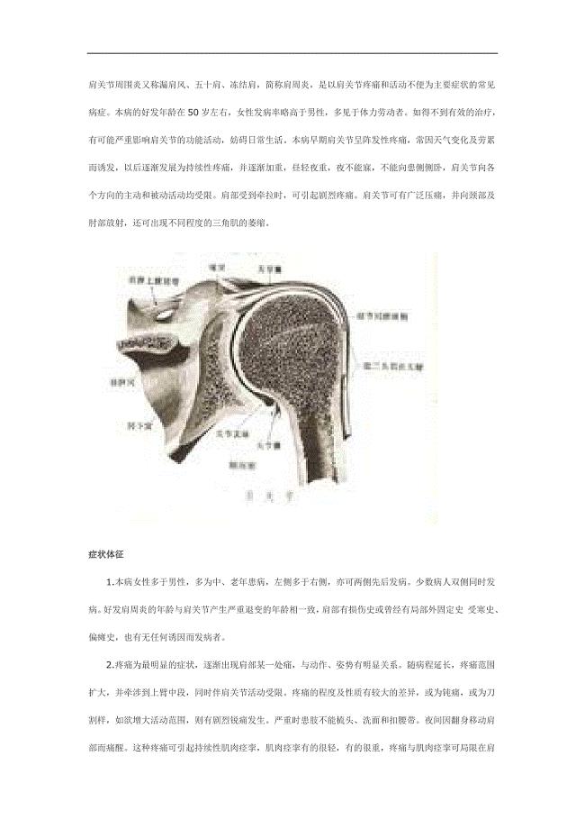 肩关节周围炎又称漏肩风(骨之堂资料).doc