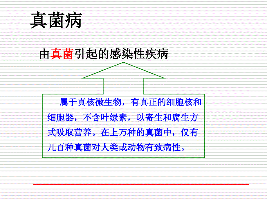 皮肤病实验室检查ppt课件_第2页