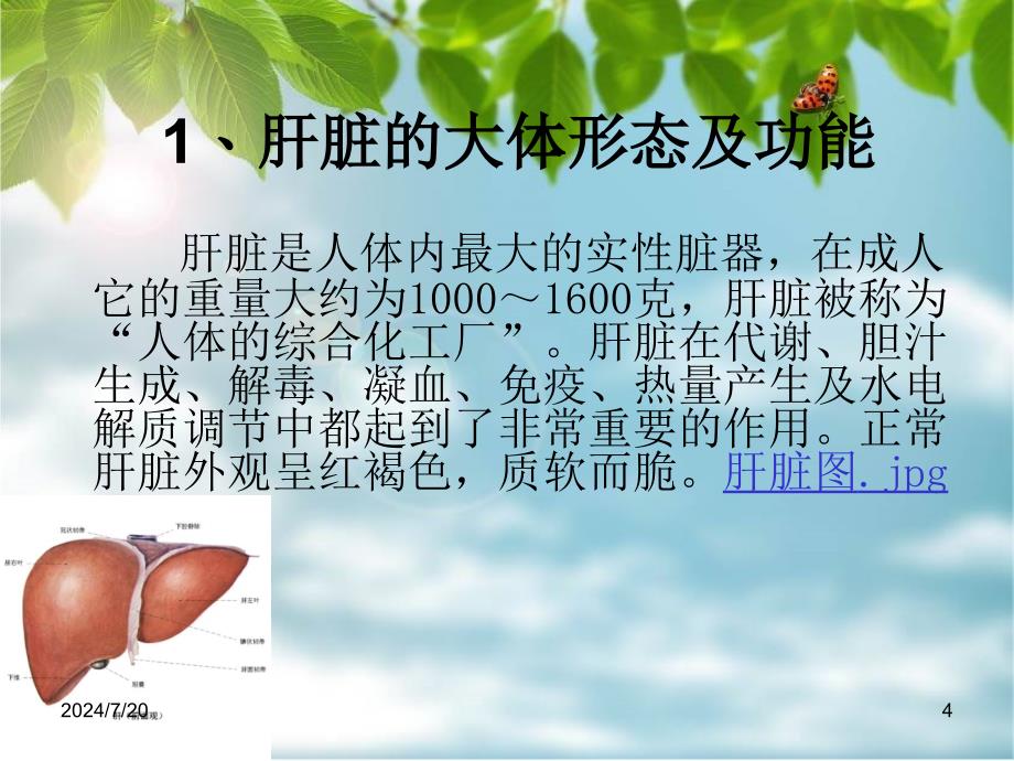 肝移植术后的监护PPT课件_第4页