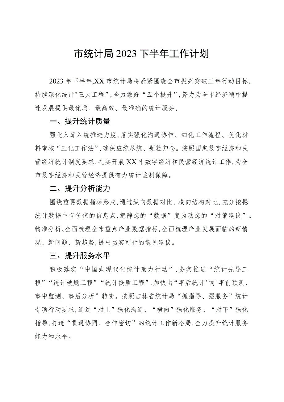 市统计局2023下半年工作计划_第1页