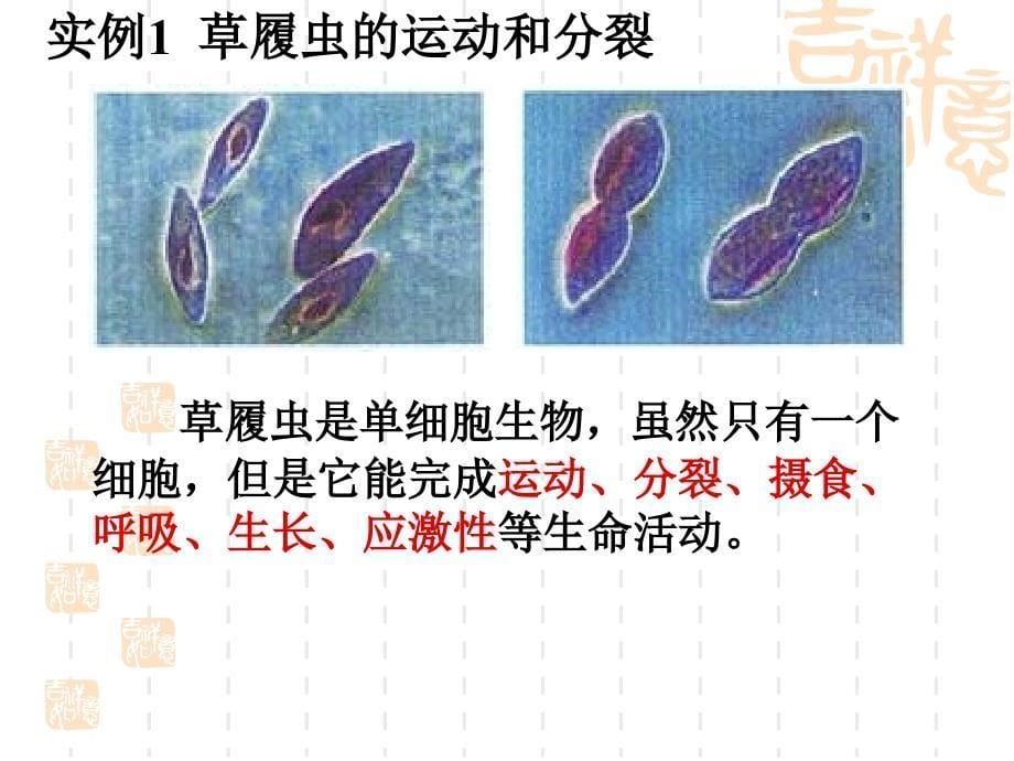 第1章走近细胞_第5页