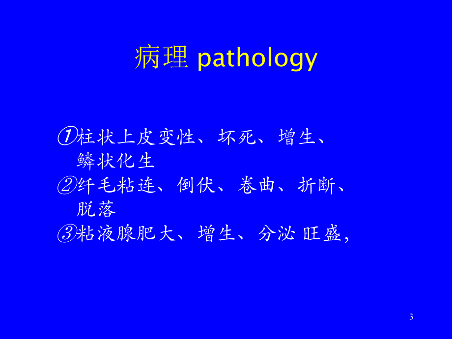 内科学教学课件：慢性支气管炎_第3页