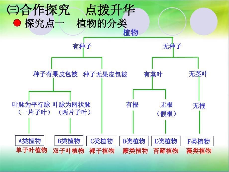 第一节尝试对生物进行分类1_第5页