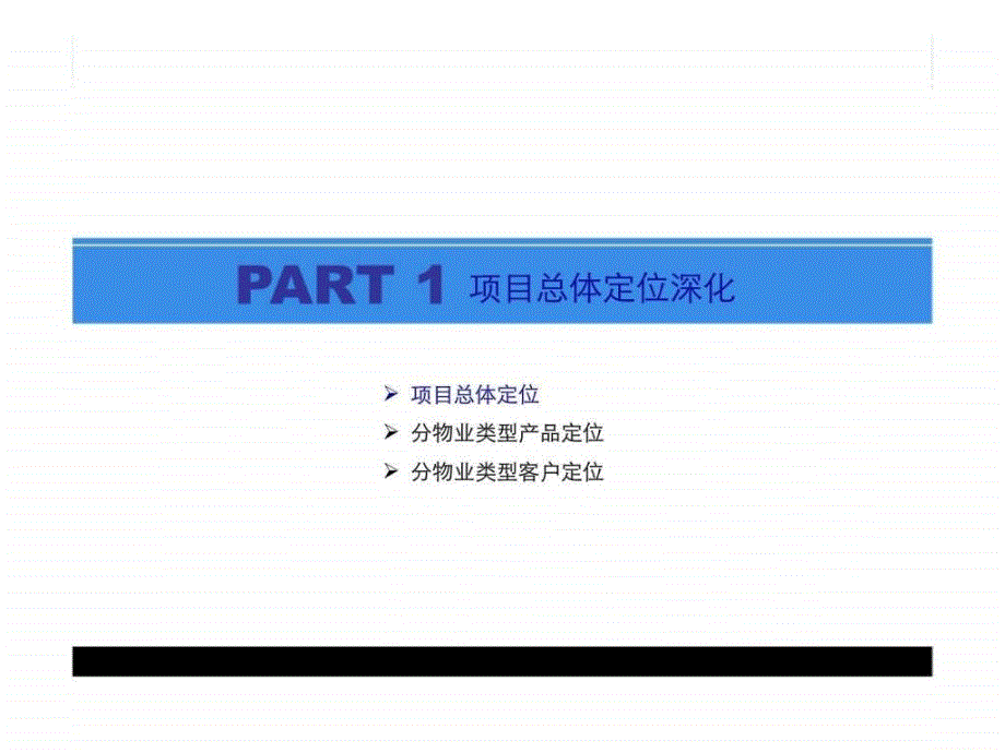 沈阳乐天世界项目专题调研及定位深化_第3页