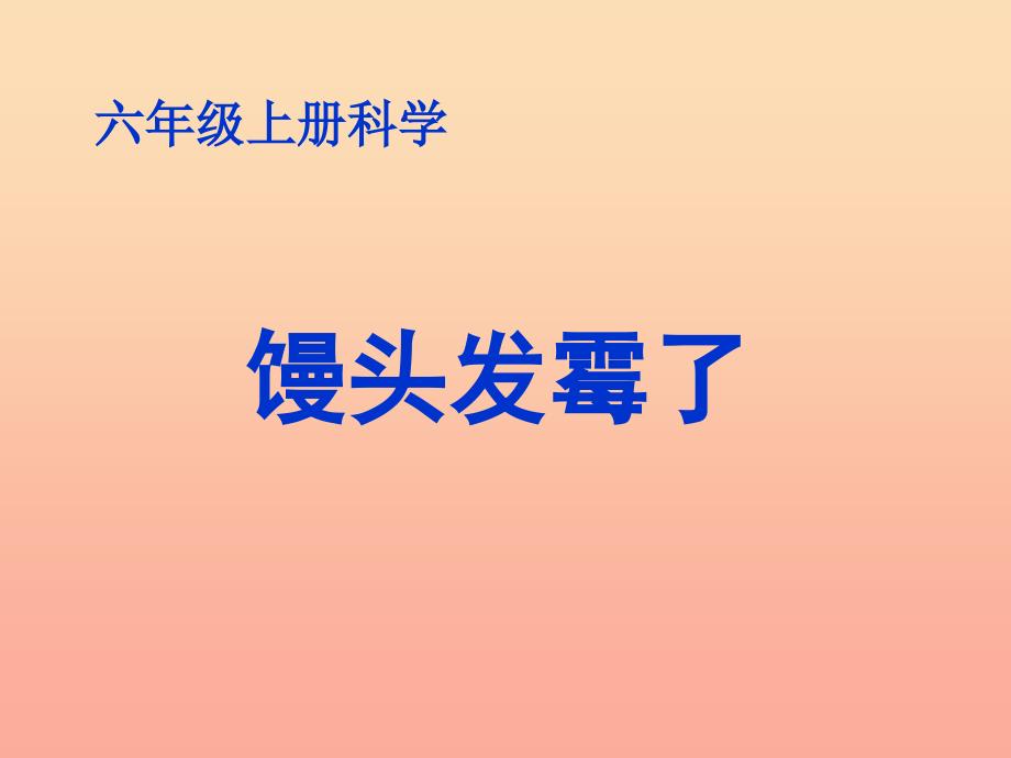 六年级科学上册馒头发霉了课件6苏教版_第1页