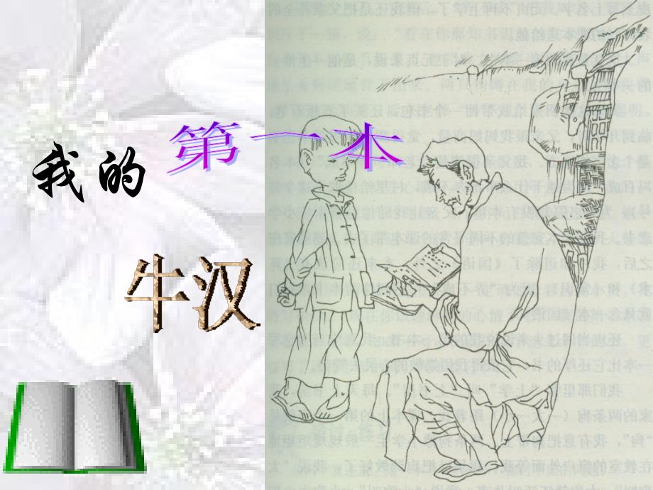 我的第一本书_课件_第1页