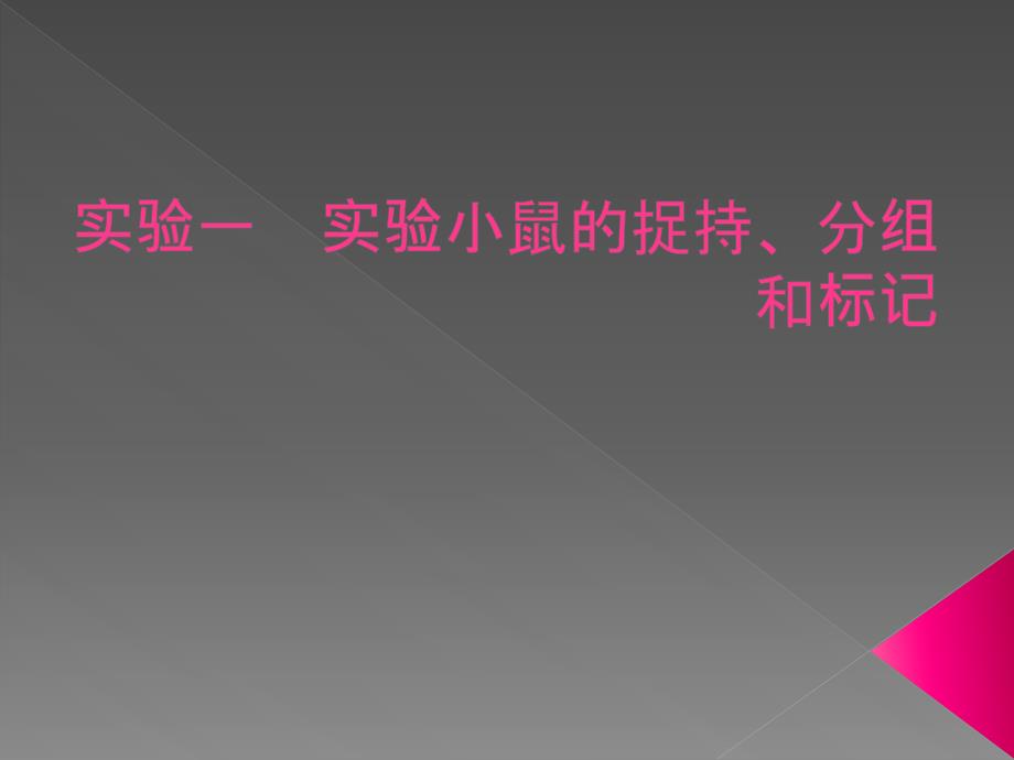 药理学实验课件：实验一实验小鼠的捉持、分组和标记_第2页