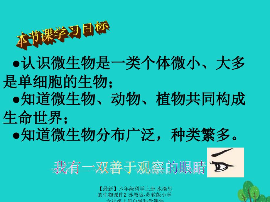 最新六年级科学上册水滴里的生物课件2苏教版苏教版小学六年级上册自然科学课件_第4页