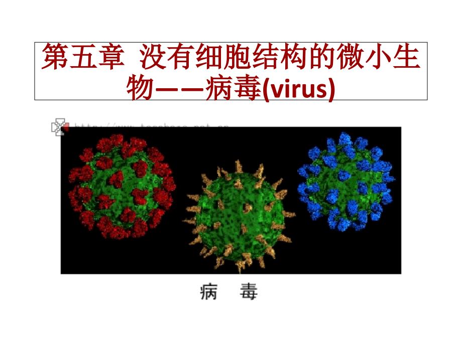 《病毒》详解教案资料_第2页