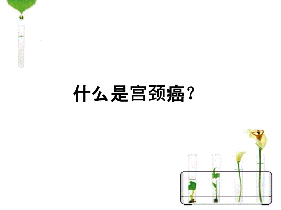 张和平课件：HPV感染与宫颈癌_第4页