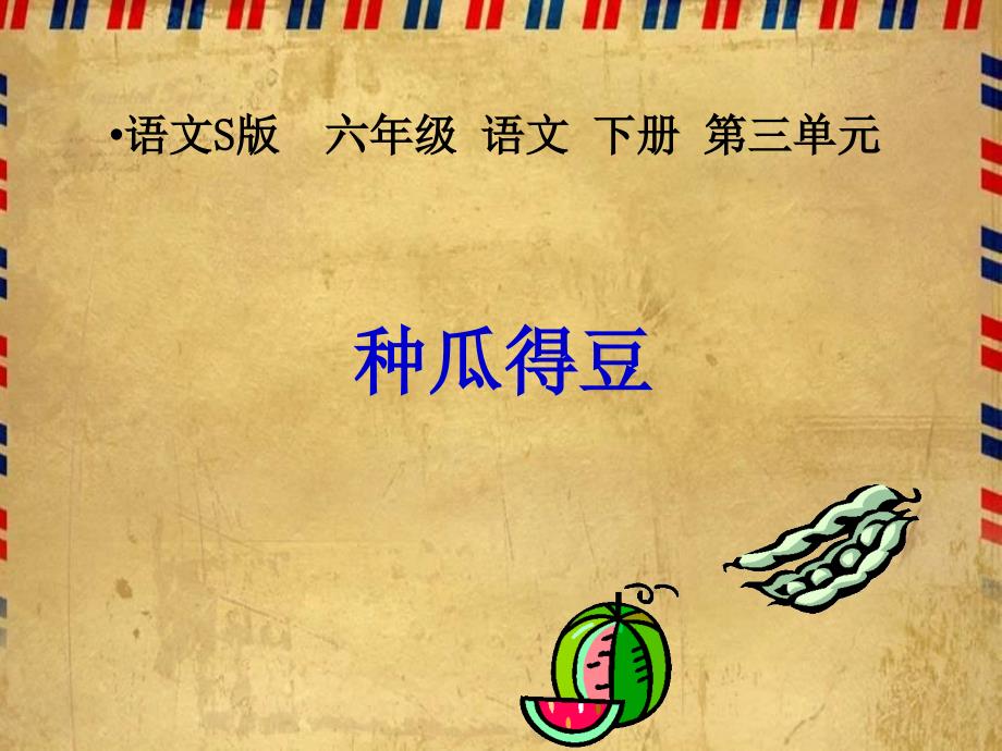 种瓜得豆语文S版六年级下册课件_第1页