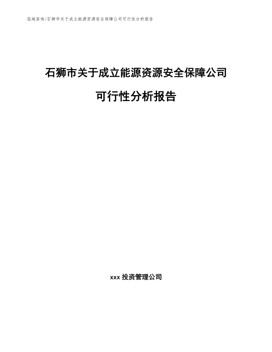 石狮市关于成立能源资源安全保障公司可行性分析报告（范文参考）_第1页