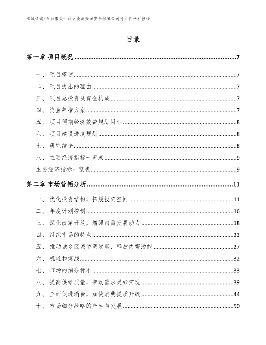 石狮市关于成立能源资源安全保障公司可行性分析报告（范文参考）_第2页