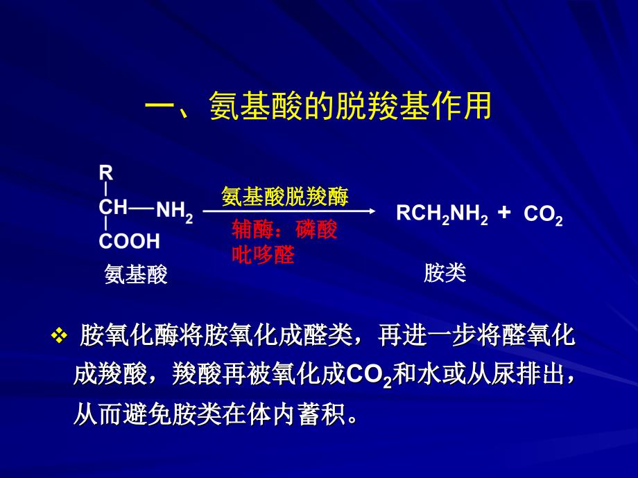 生物化学课件：氨基酸代谢（三）_第4页