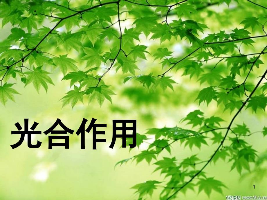 高一生物 光合作用 人教版必修一.ppt_第1页