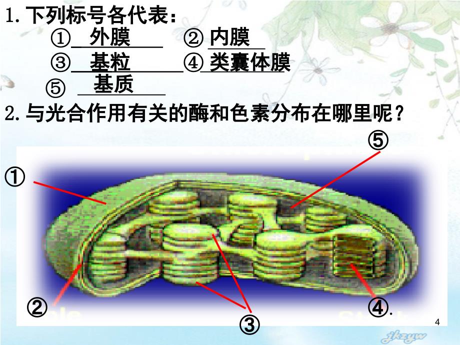 高一生物 光合作用 人教版必修一.ppt_第4页