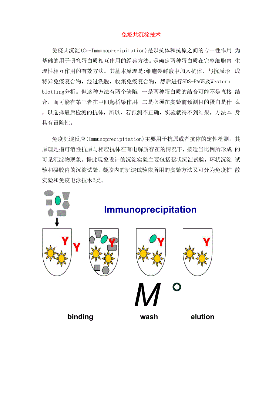 免疫共沉淀技术路线_第1页