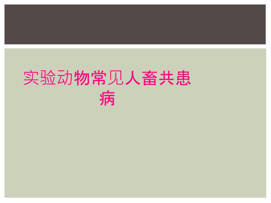 实验动物常见人畜共患病_第1页