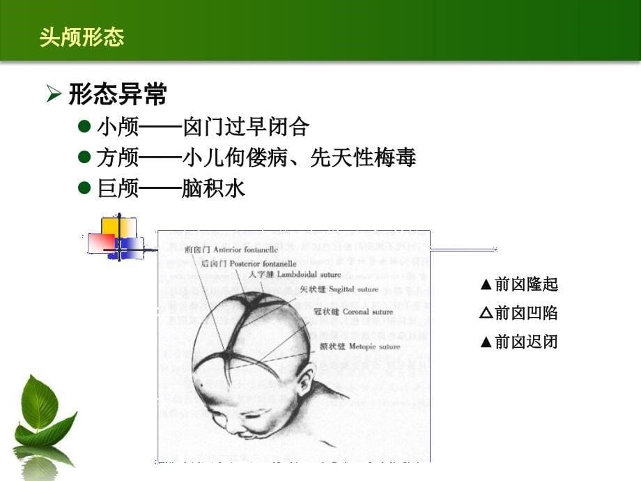 头部检查与颈部检查课件_第5页