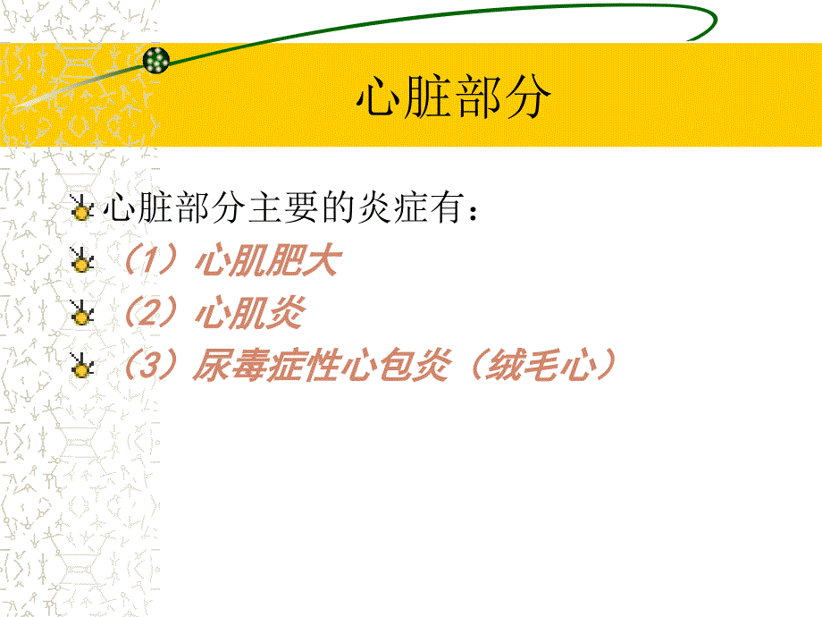 炎症病例讨论PPT课件_第3页