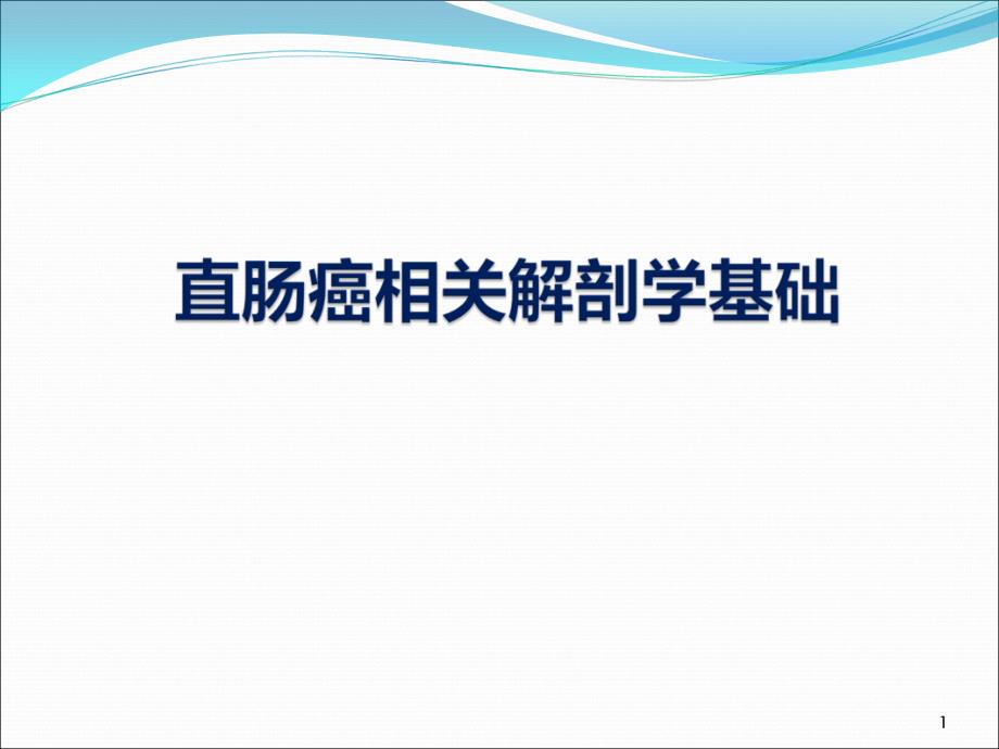 直肠相关解剖学基础PPT课件_第1页