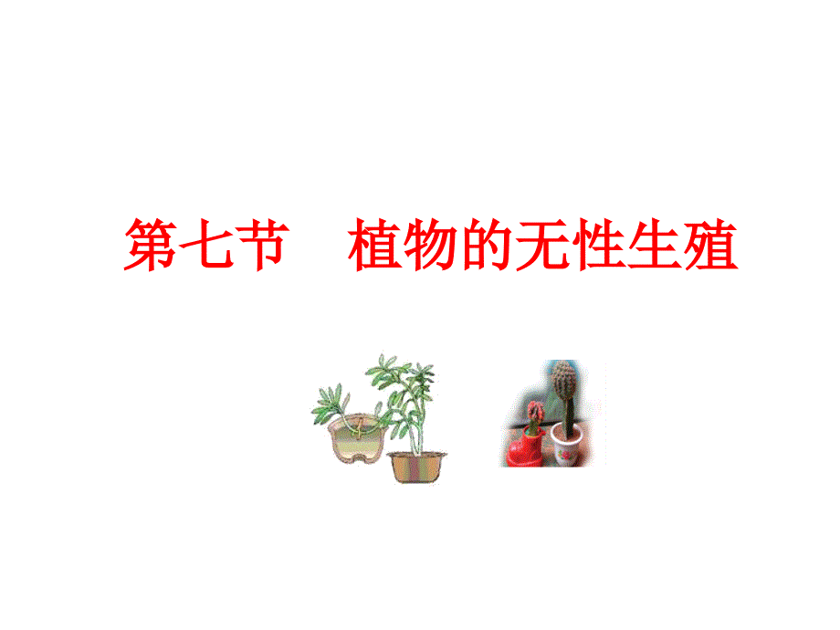 济南版第七节--植物的无性生殖a_第3页