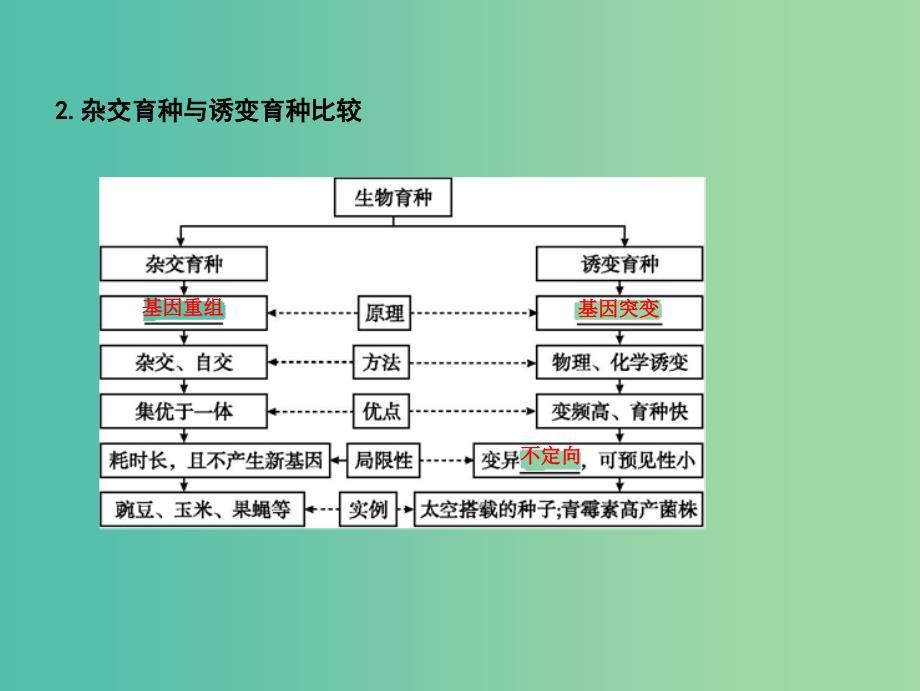 高中生物第七单元生物的变异育种和进化第22讲从杂交育种到基因工程课件.ppt_第4页