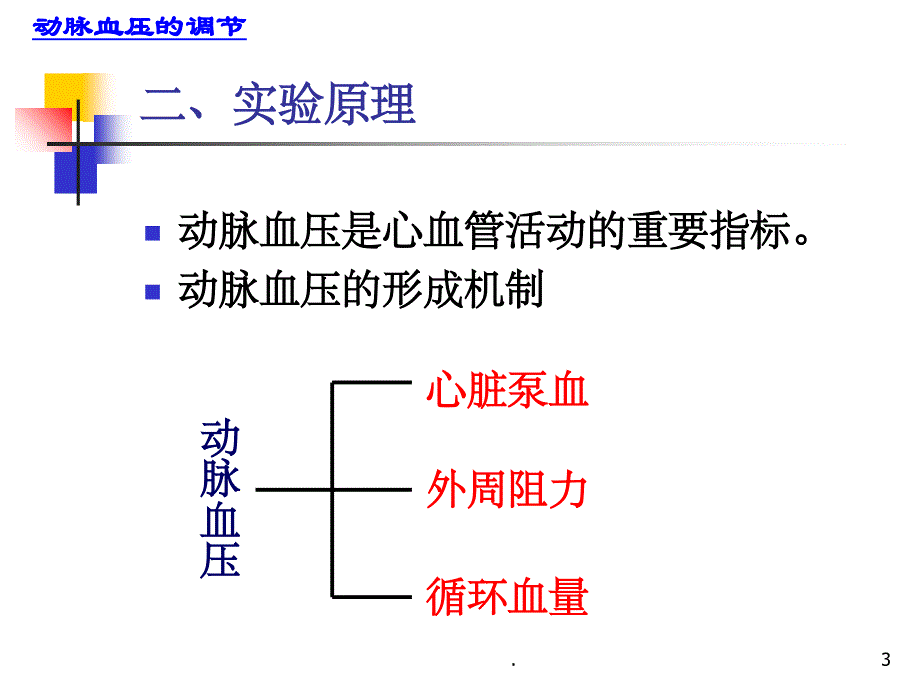 动脉血压的调节最新版本_第3页