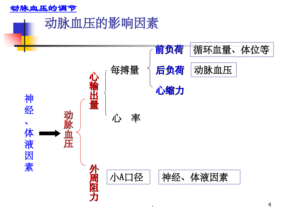 动脉血压的调节最新版本_第4页