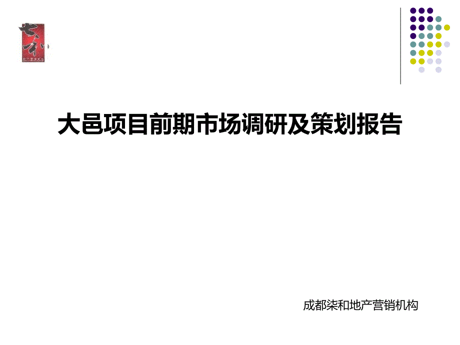 大邑项目前期市场调研及策划报告193p_第1页