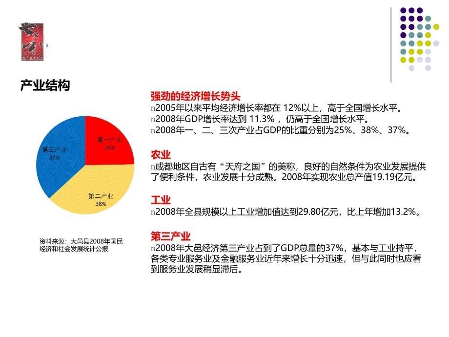 大邑项目前期市场调研及策划报告193p_第5页