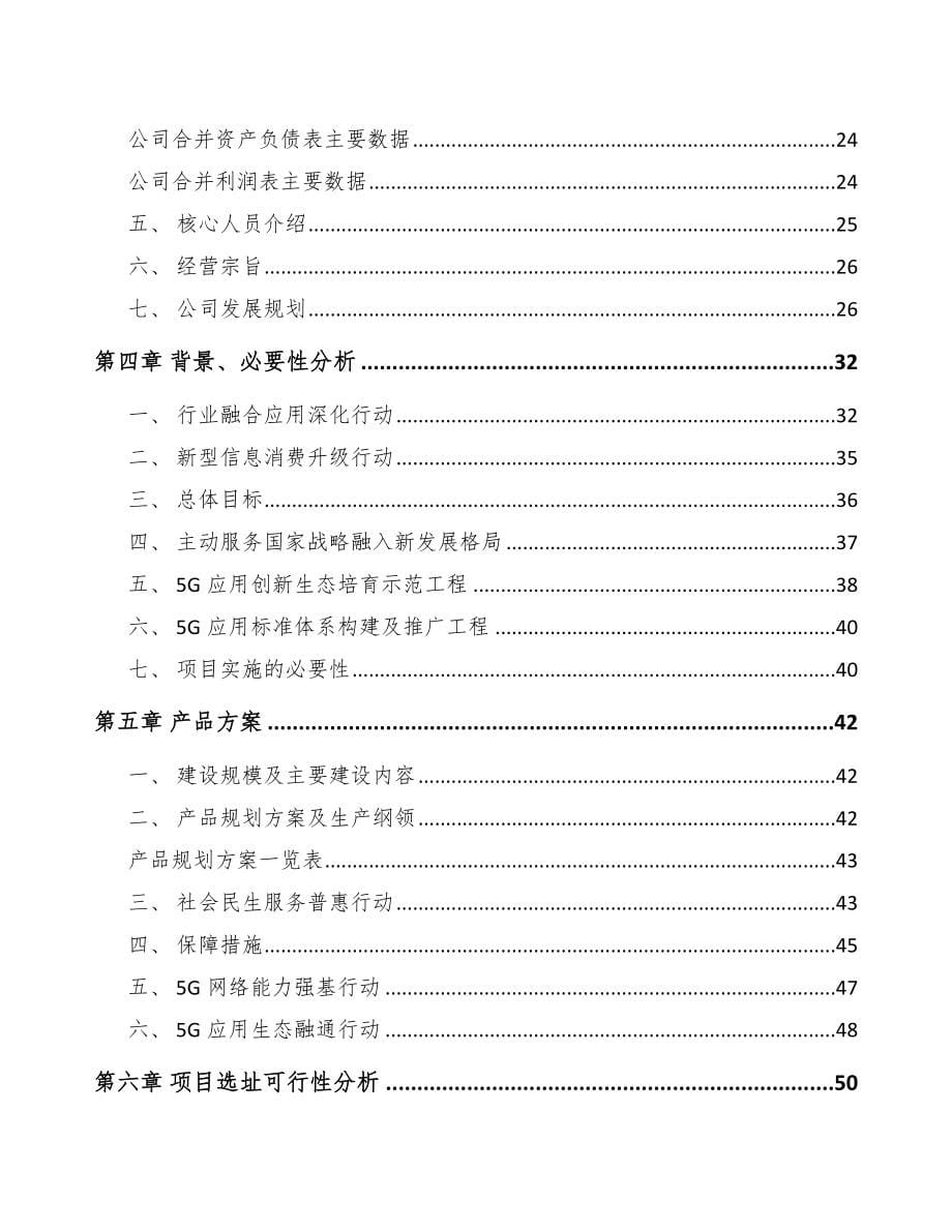 自贡5G+融合媒体项目可行性研究报告_第5页