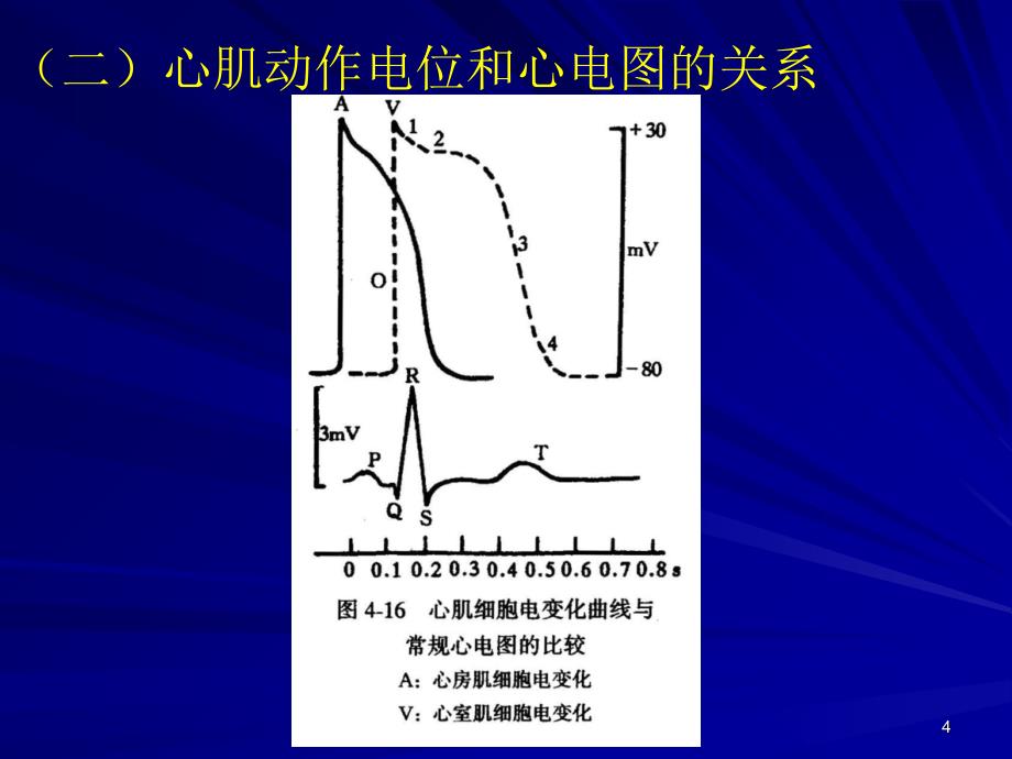 四体表心电图_第4页