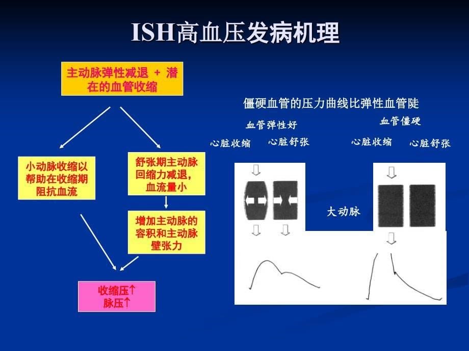 综览单纯收缩期高血压ISH_第5页