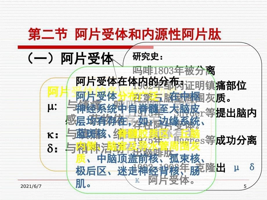 第十九章-镇痛药PPT课件_第5页