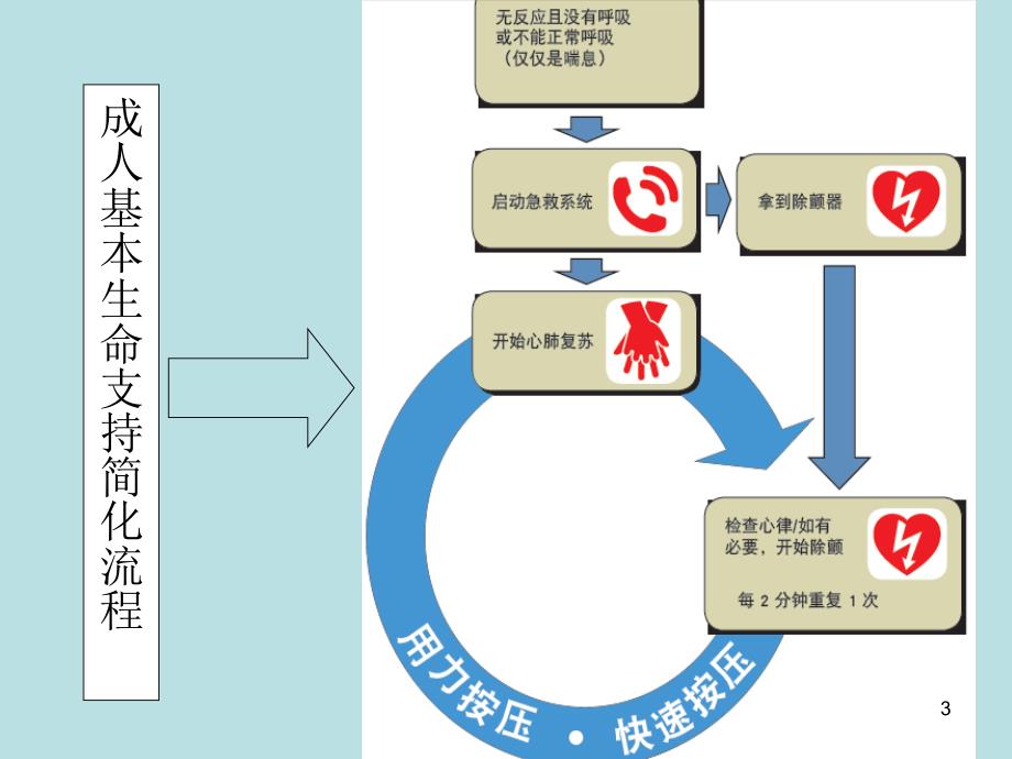 心肺复苏培训教ppt课件_第3页