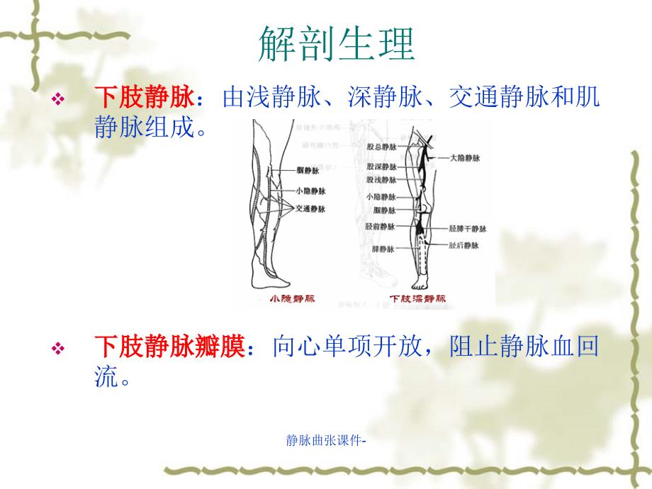 最新静脉曲张课件_第3页