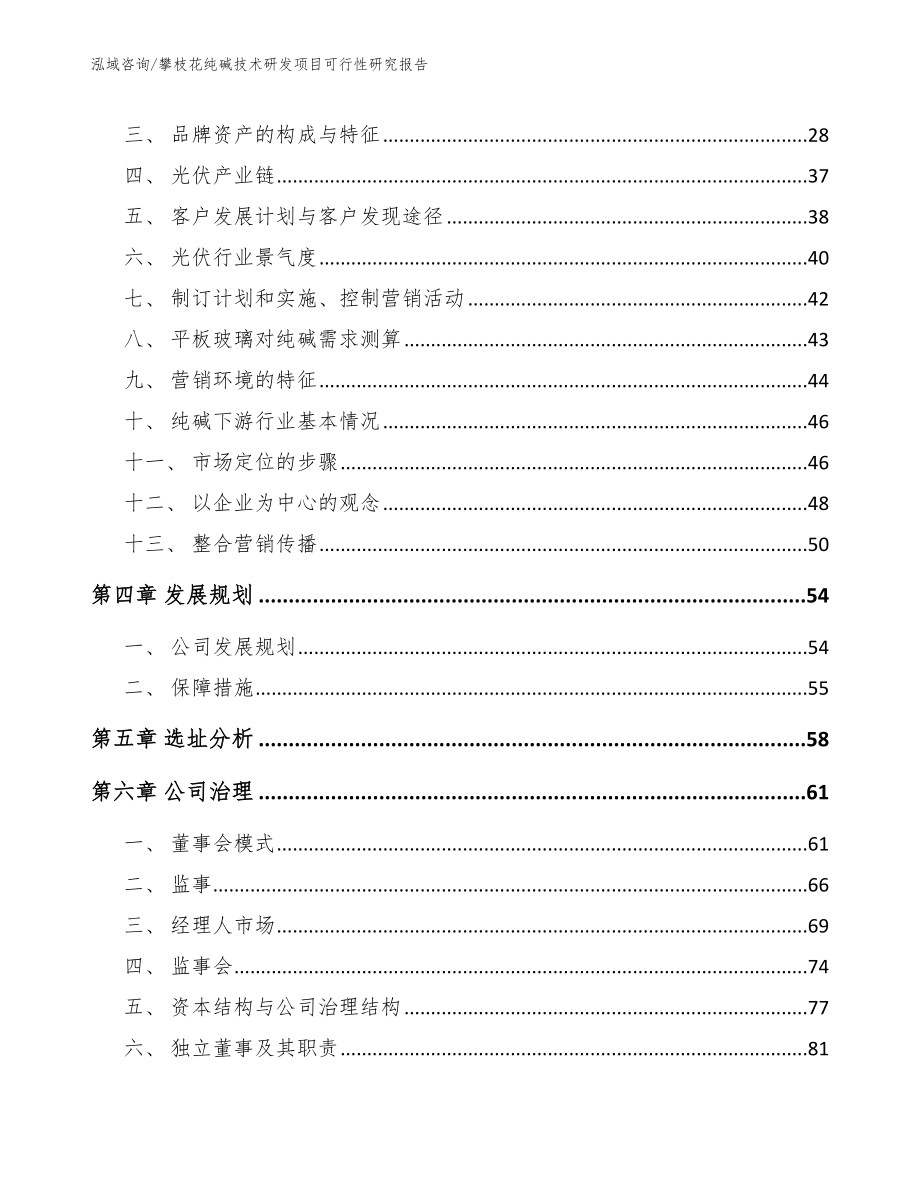 攀枝花纯碱技术研发项目可行性研究报告模板参考_第3页