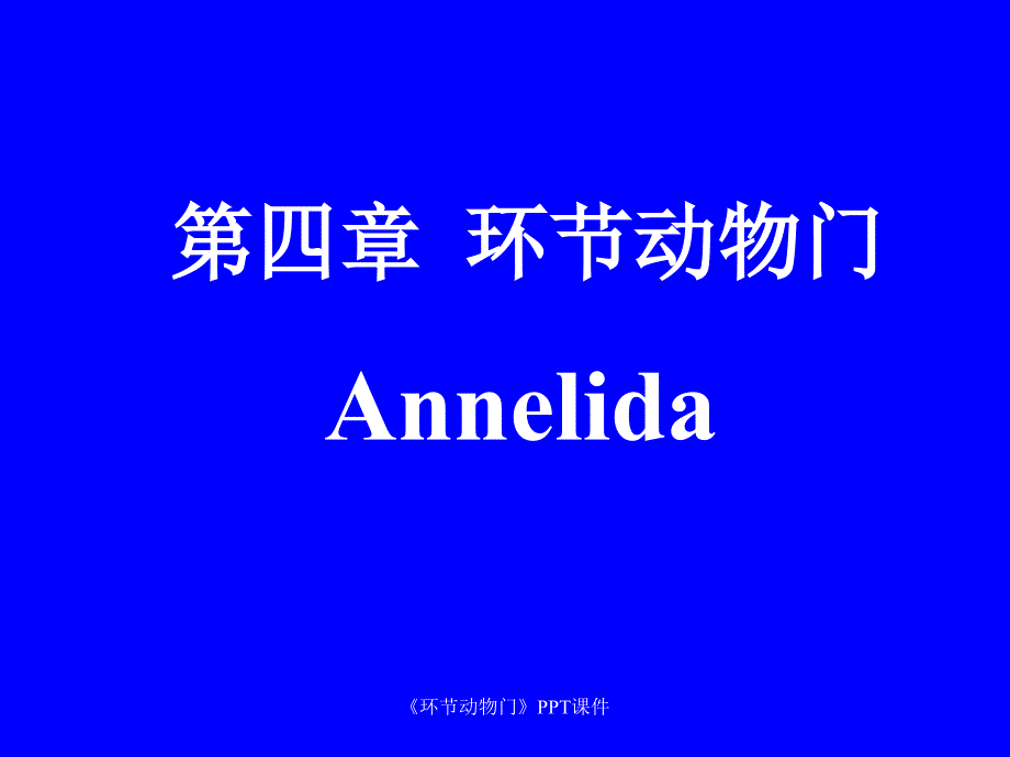 环节动物门课件_第1页
