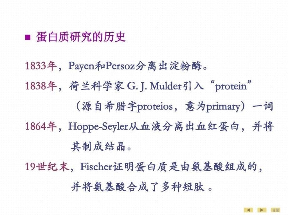 生物化学与分子生物学人卫版教材全集共116页课件_第5页