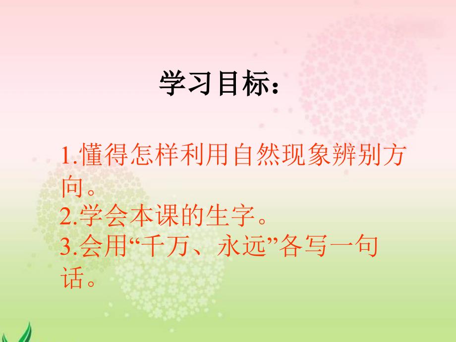 《要是你在野外迷了路》课件(西师大版小学语文二年级下册课件)_第2页