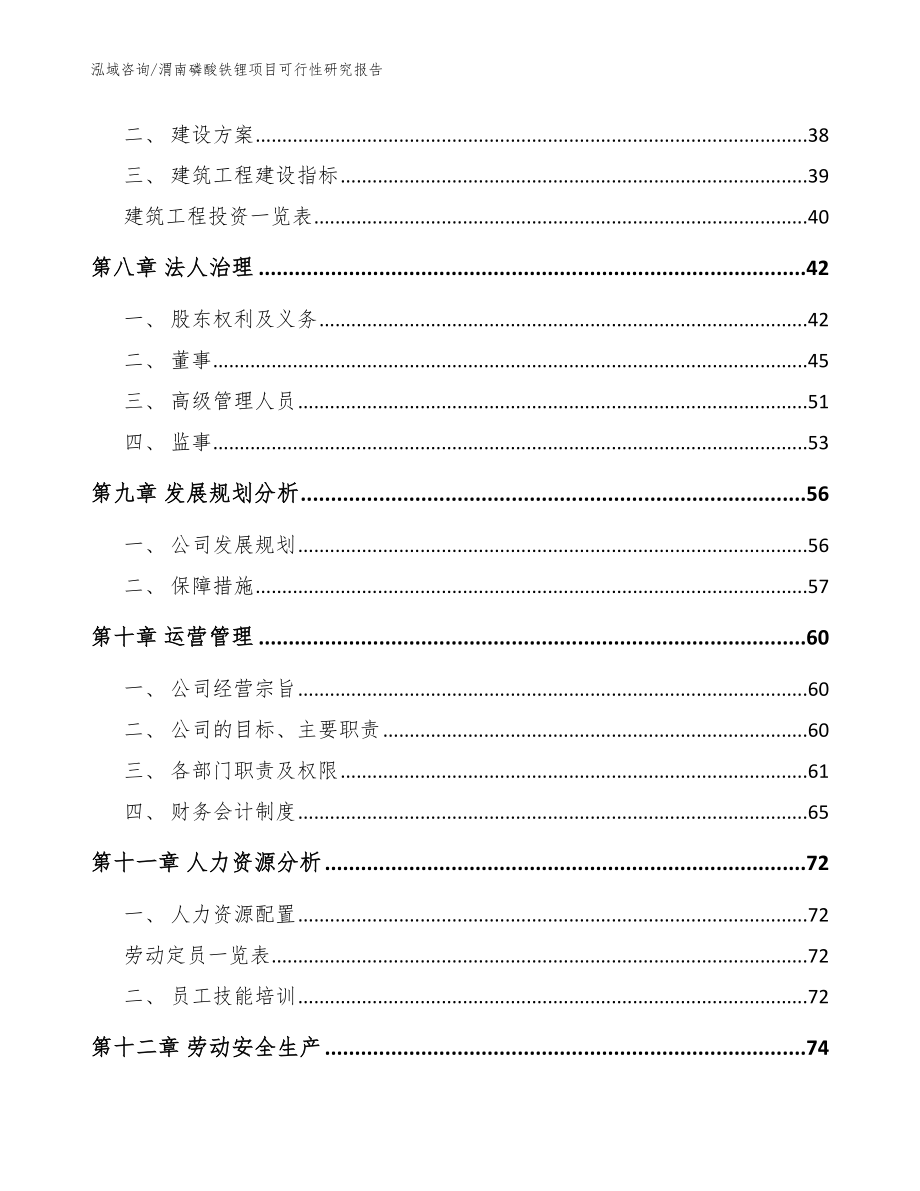 渭南磷酸铁锂项目可行性研究报告_模板范本_第3页