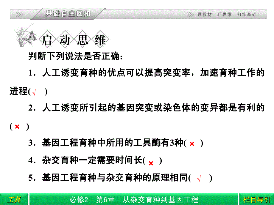 杂交育种与诱变育种基因工程_第3页