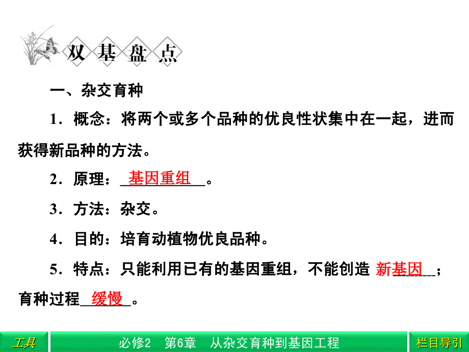 杂交育种与诱变育种基因工程_第4页