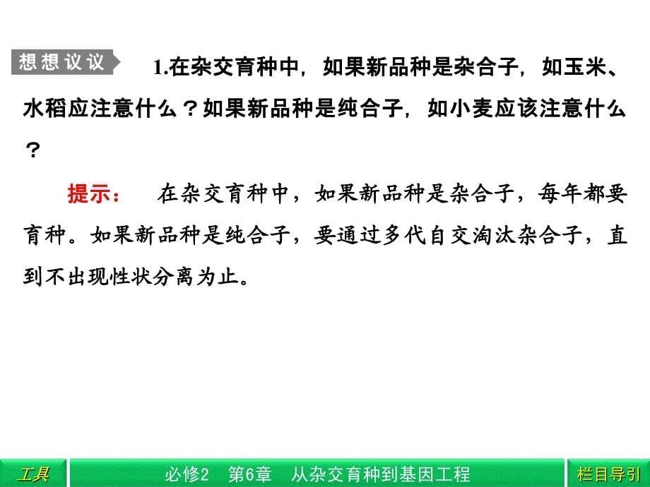 杂交育种与诱变育种基因工程_第5页